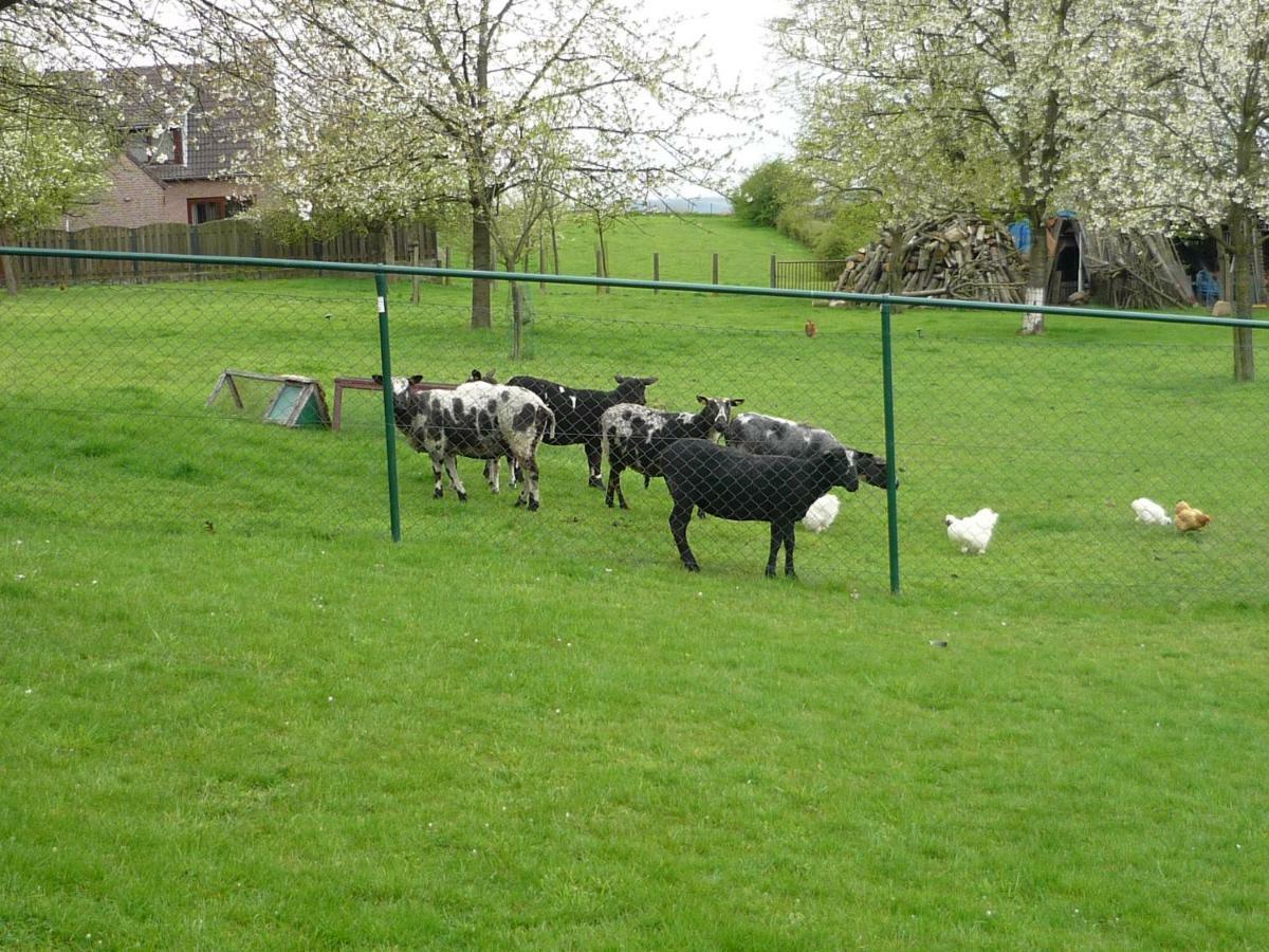 Hoeve Mingels Banholt 外观 照片
